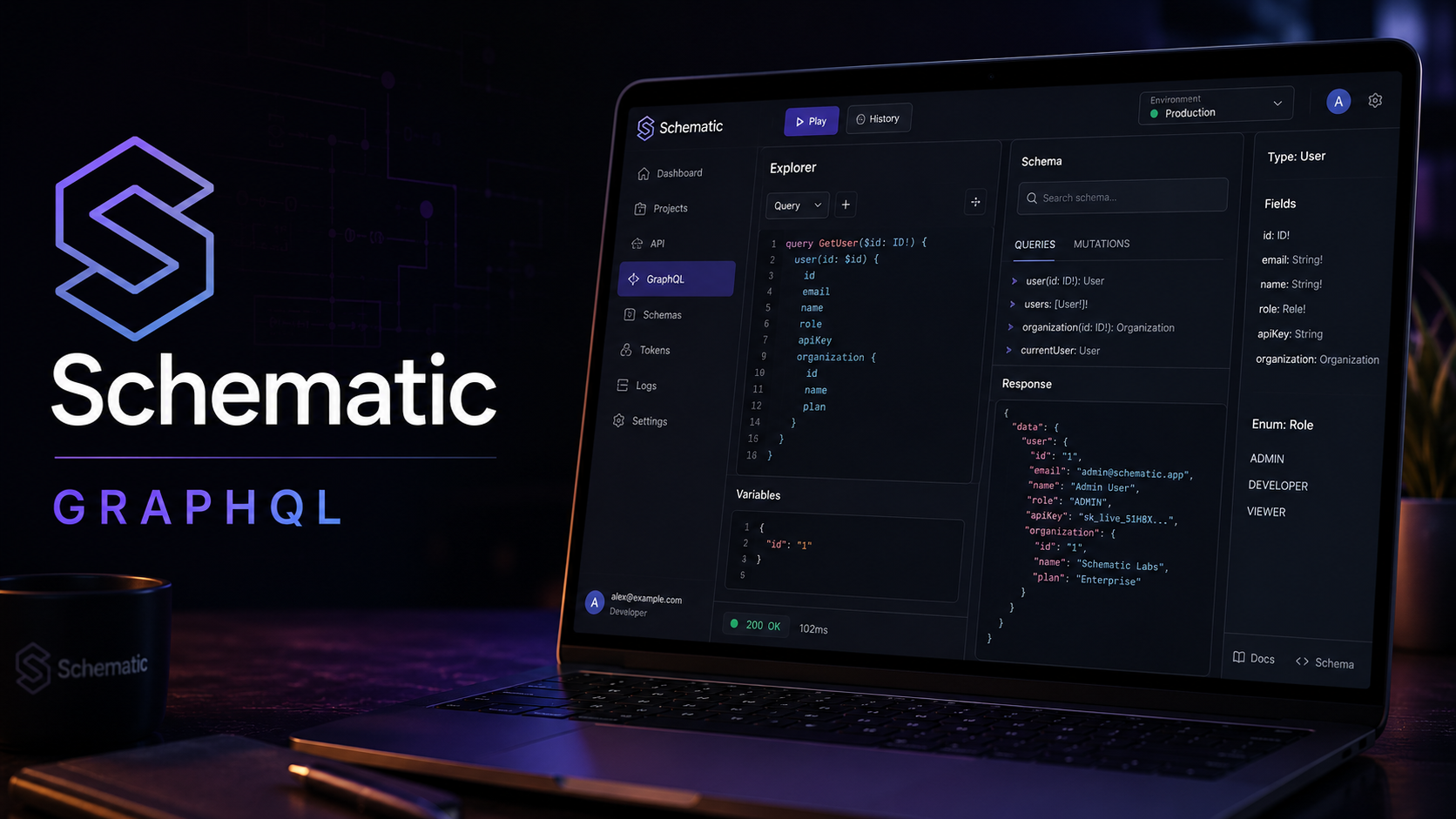 GraphQL Information Disclosure – System Configuration Exposure | Schematic
